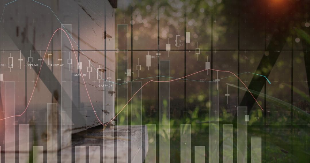 Beehive and Financial Graphs Illustrating Eco-Friendly Investments
