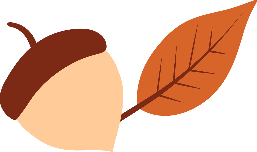 Stylized Acorn with Leaf on Transparent Background in Flat Design