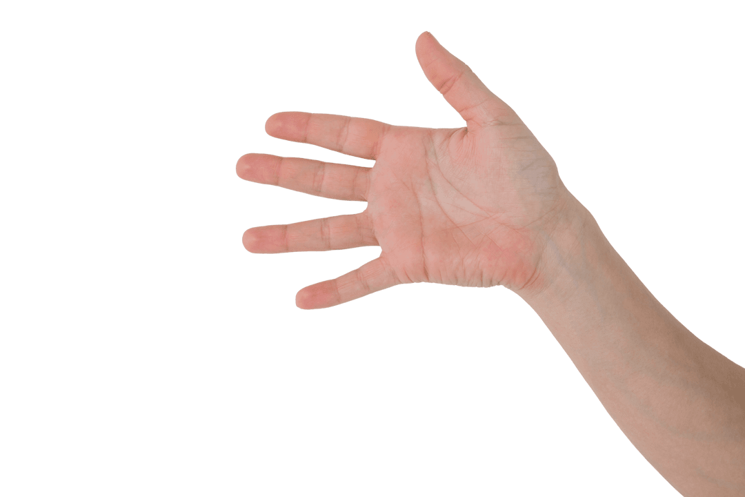 Open Hand Gesture in Transparent Background