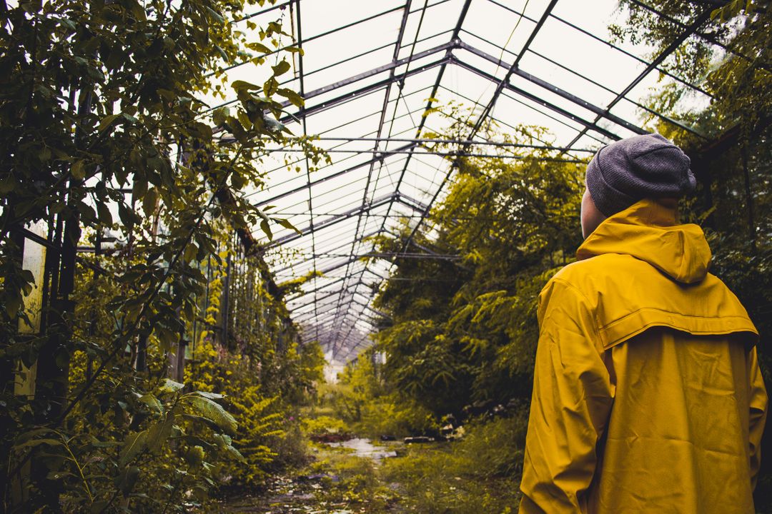 Person Exploring Abandoned Overgrown Greenhouse in Yellow Jacket - Free Images, Stock Photos and Pictures on Pikwizard.com