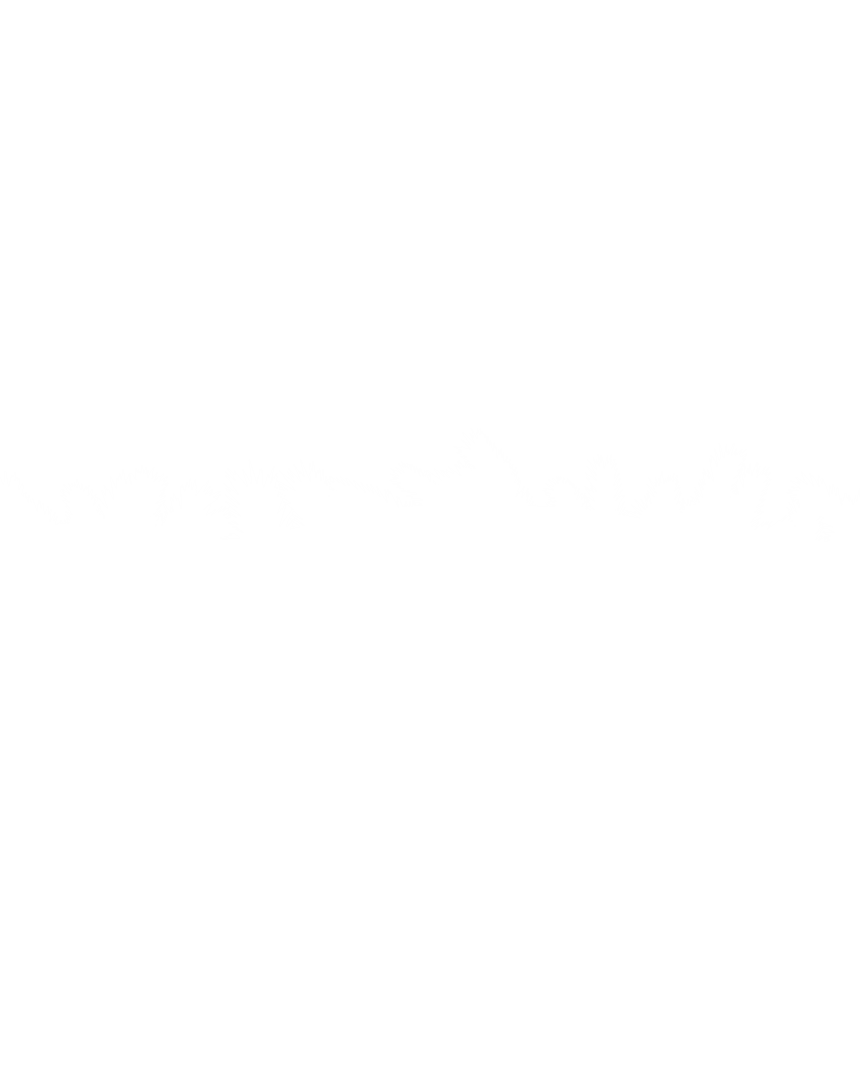 Fir Tree Branches on Transparent Background for Festive Decoration