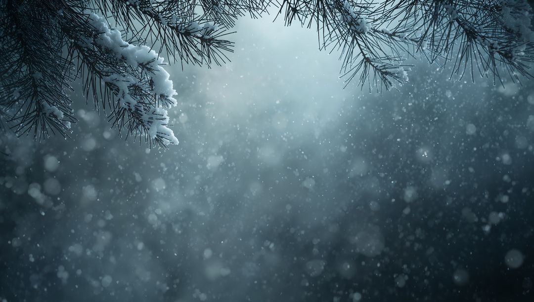Snow-dusted pine branches framing falling snow with soft blue-gray bokeh background