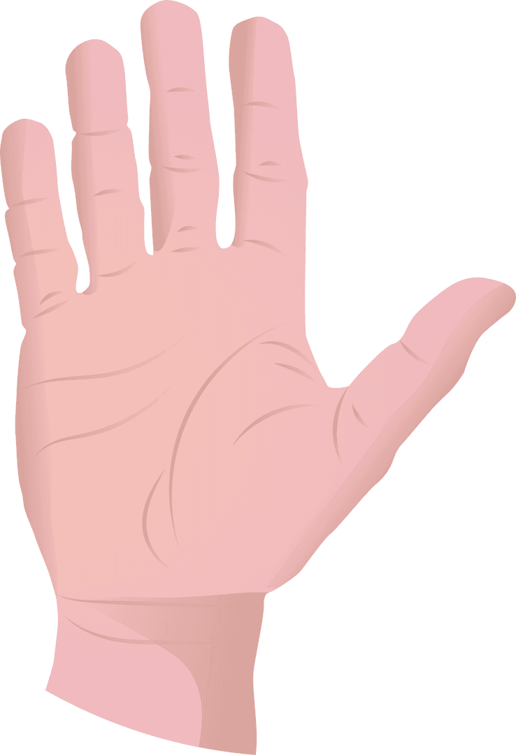Open Hand Gesture Flat Vector on Transparent Background