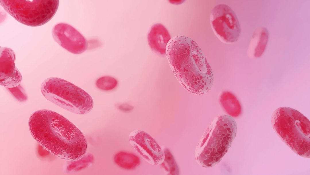 Red Blood Cells in Flowing Stream with Detailed Texture