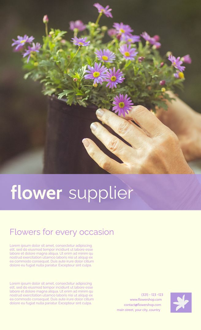 Hands Gently Touching Vibrant Purple Flowers