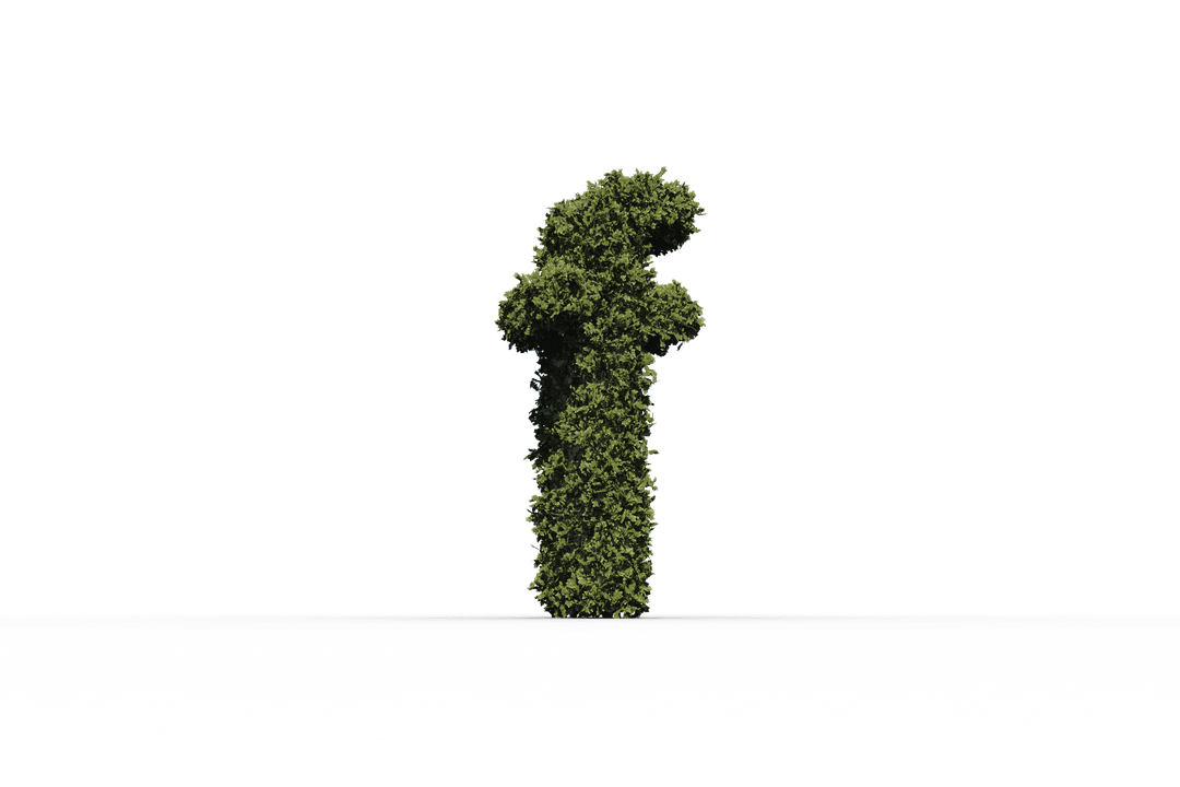 Green Grass F Letter Illustration on Transparent Background