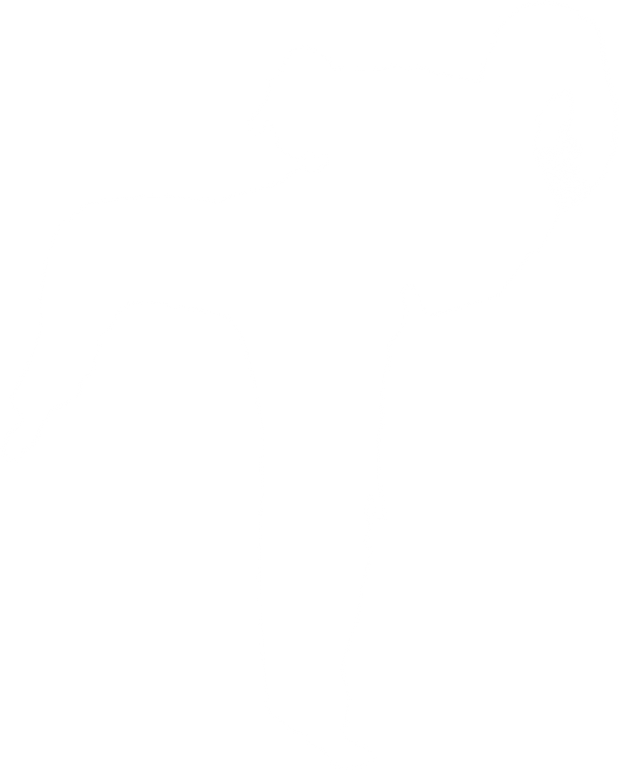 Female Martial Artist Silhouette Vector on Transparent Background - Download Free Stock Images Pikwizard.com