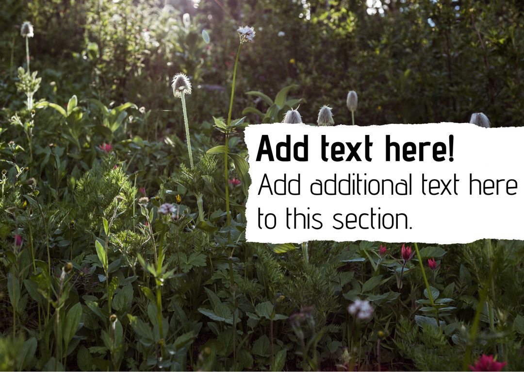 Lush Garden with Flowers for Eco-Friendly Initiatives