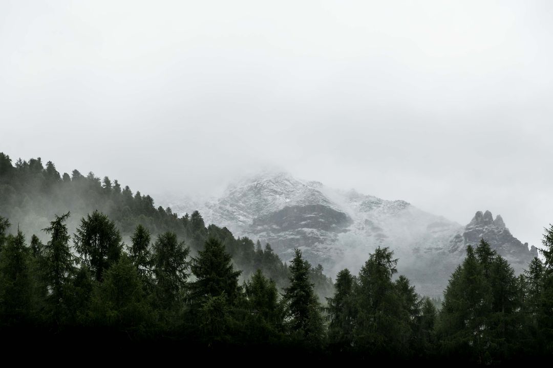 Misty Mountain Range With Pine Forest - Free Images, Stock Photos and Pictures on Pikwizard.com