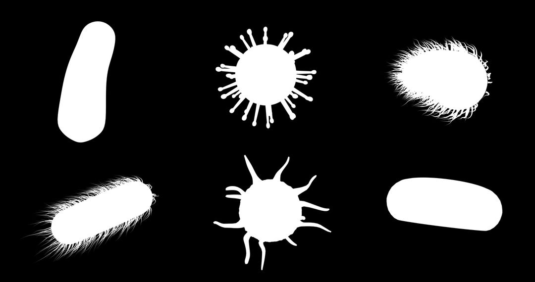 Silhouettes of Microscope Virus and Bacteria against Black Background