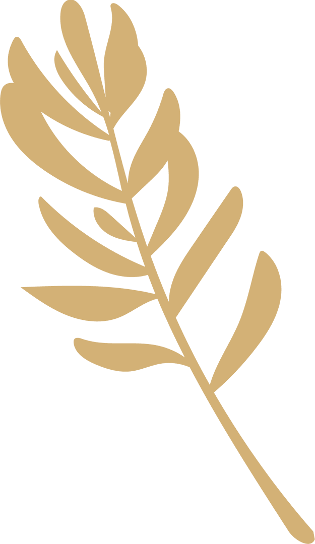 Gold Botanical Branch Illustration on Transparent Background