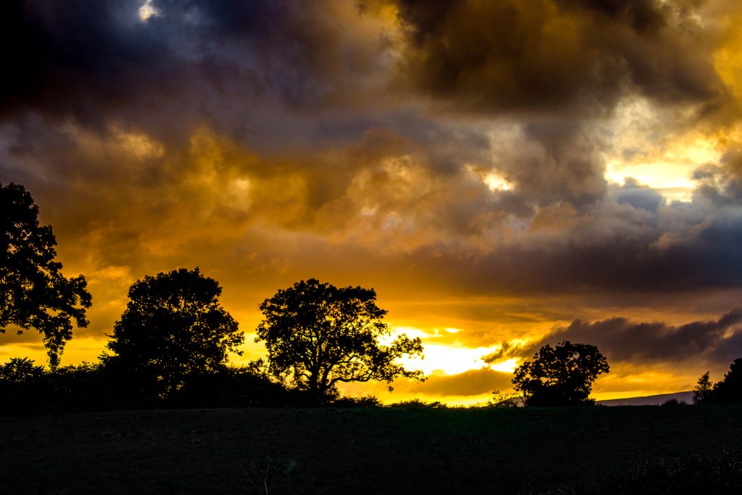 Silhouette Trees Against Dramatic Sky during Sunset - Free Images, Stock Photos and Pictures on Pikwizard.com