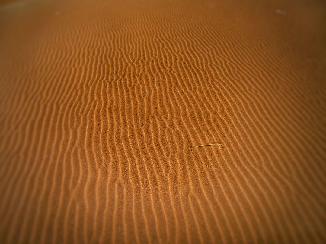 Aerial View of Golden Sand Dunes Showing Natural Patterns - Free Images, Stock Photos and Pictures on Pikwizard.com