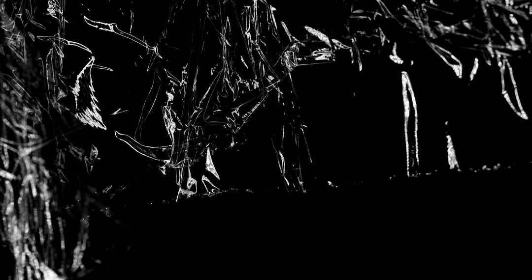 Dynamic Abstract Motion Shapes on Black Background