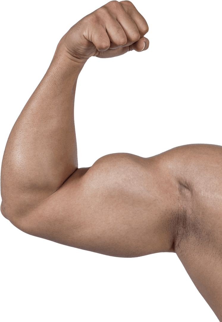 Muscular Arm Flexing with Focus on Bicep on Transparent Background
