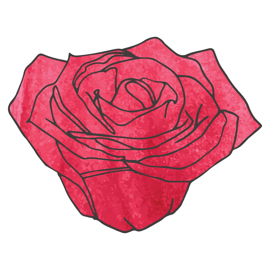 Hand-Drawn Red Rose Vector Illustration on Transparent Background - Download Free Stock Images Pikwizard.com