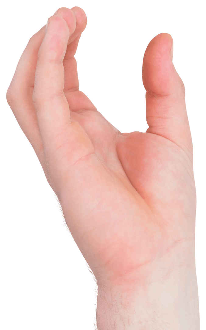 Open Hand Isolated on Transparent Background