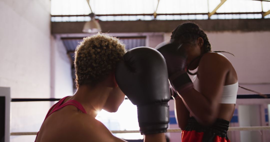 Two Women Sparring in Boxing Ring with Focused Expressions - Free Images, Stock Photos and Pictures on Pikwizard.com