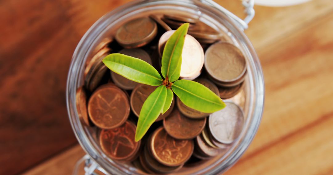 A plant in a coin-filled jar illustrates the growth potential of steady financial investment. - Free Images, Stock Photos and Pictures on Pikwizard.com