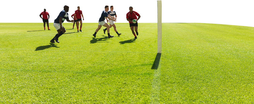 Transparent Image of Diverse Male Rugby Players Competing in Game - Download Free Stock Images Pikwizard.com