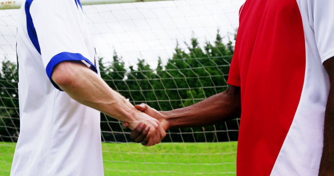 Soccer Players Shaking Hands on a Field in Sportsmanship Moment - Free Images, Stock Photos and Pictures on Pikwizard.com