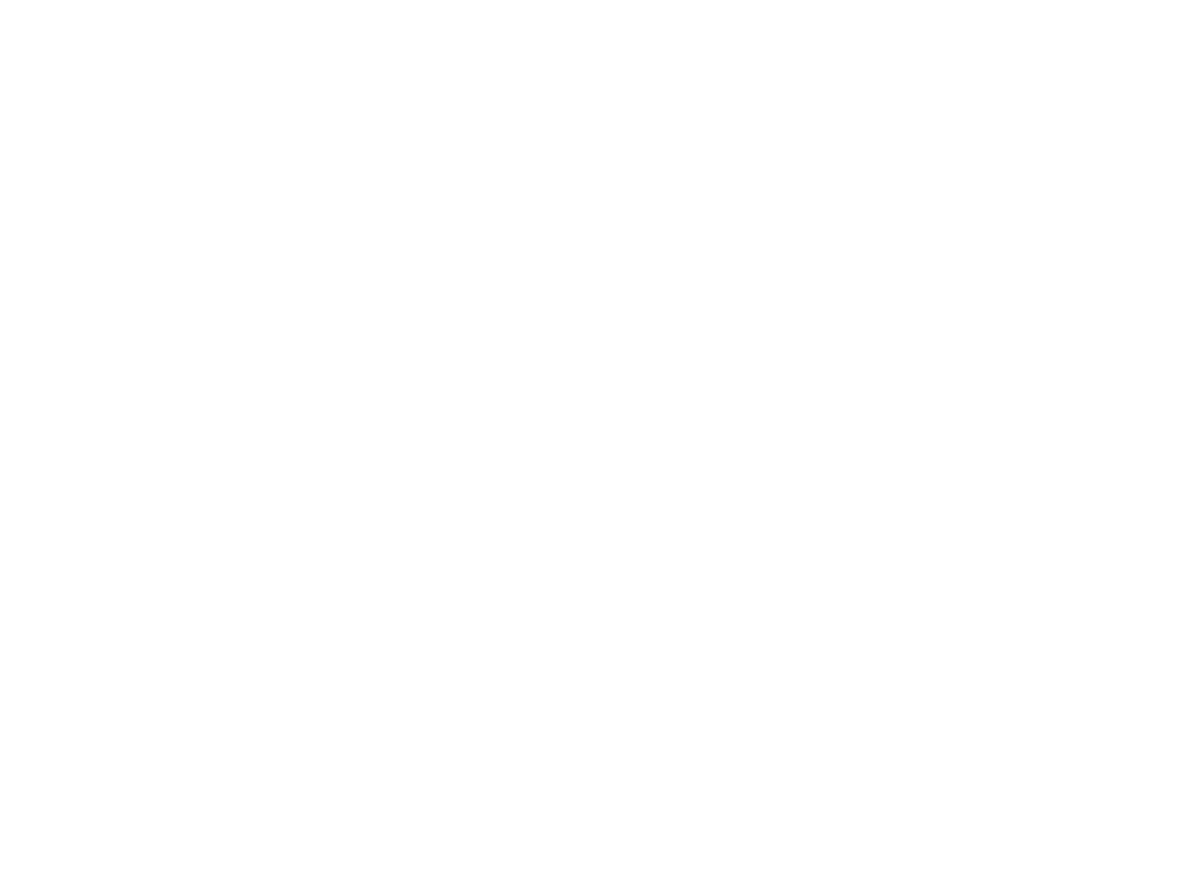 Transparent Silhouette of Male Sports Supporter Holding Scarf - Download Free Stock Images Pikwizard.com