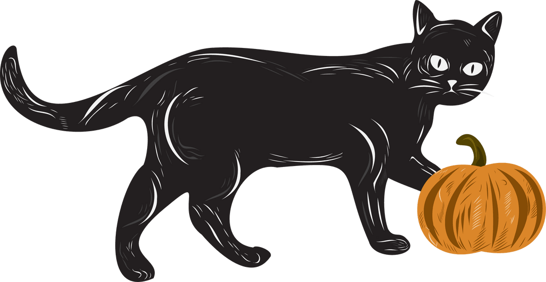 Transparent Black Cat Touching Pumpkin Halloween Art