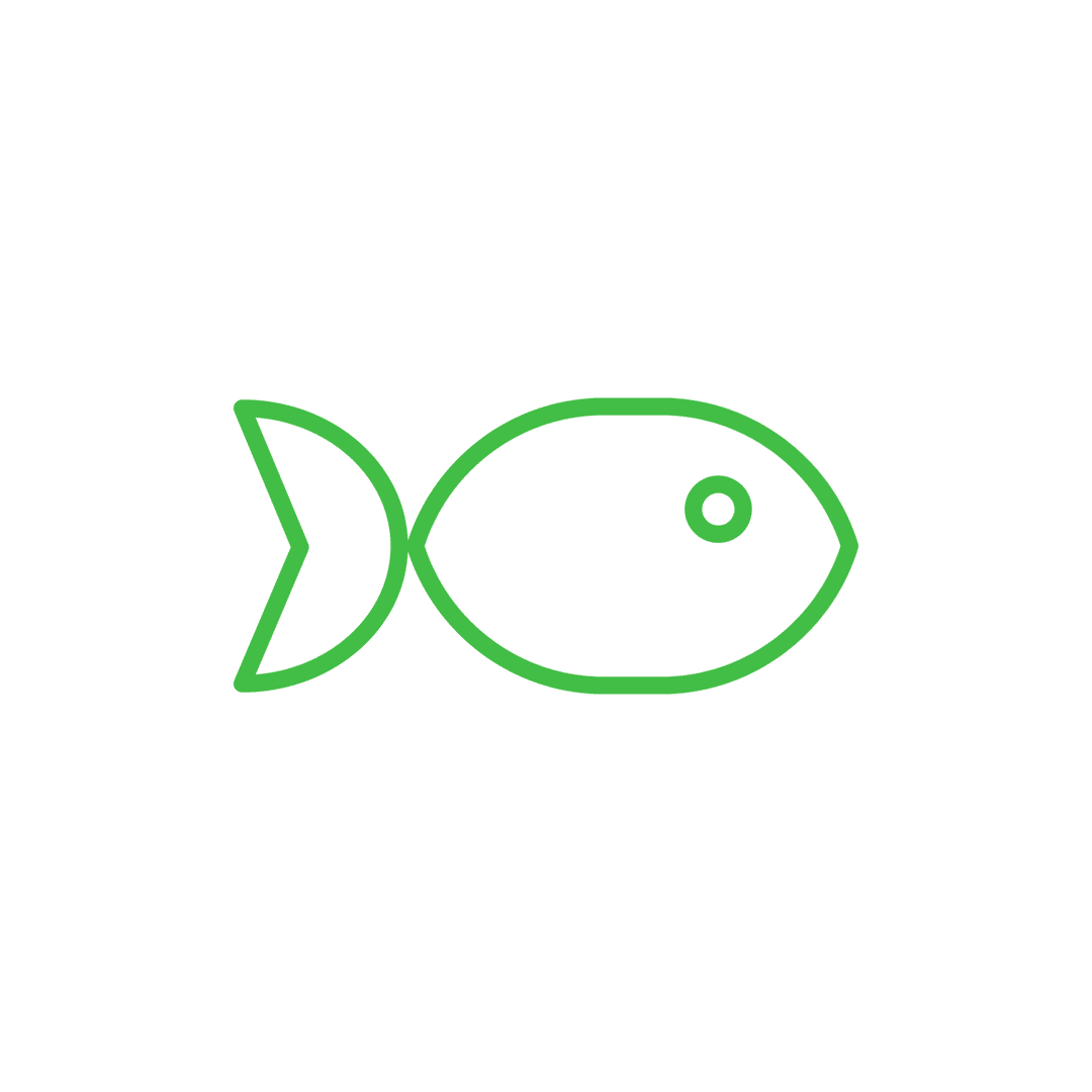 Digital Green Fish Illustration on Transparent Background