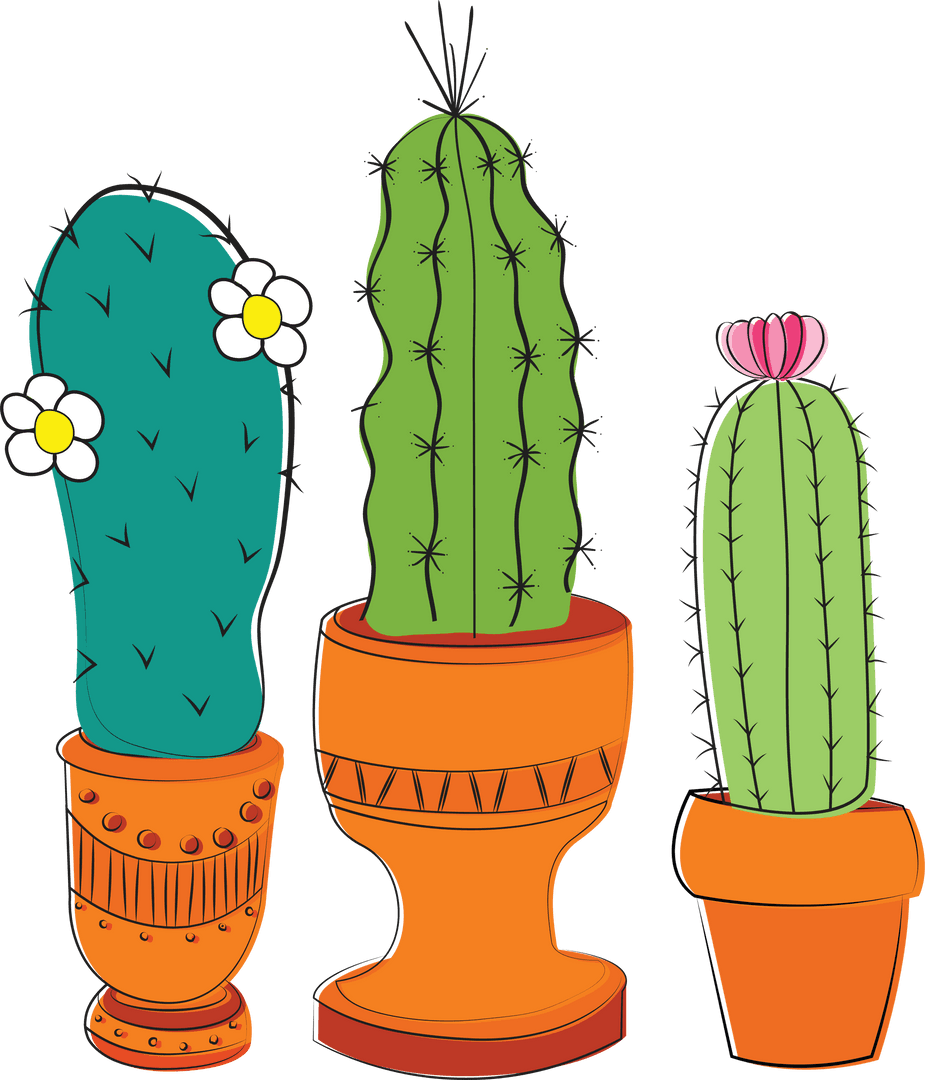 Colorful Cacti in Decorative Pots on Transparent Background