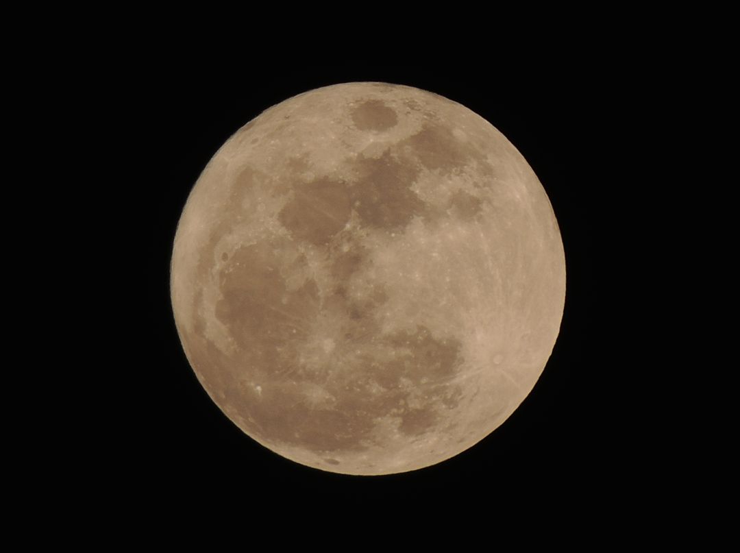Focus Photo of Full Moon during Nightime - Free Images, Stock Photos and Pictures on Pikwizard.com
