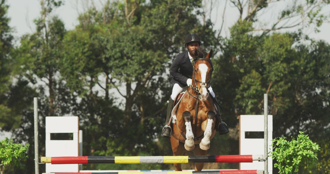 Equestrian Athlete Jumping Over Obstacle During Competition - Free Images, Stock Photos and Pictures on Pikwizard.com