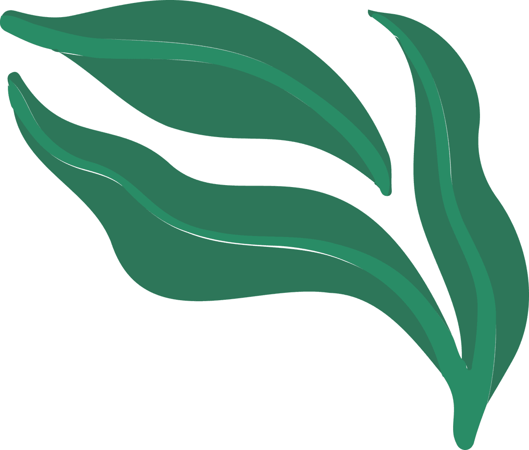 Abstract Green Leaves on Transparent Background