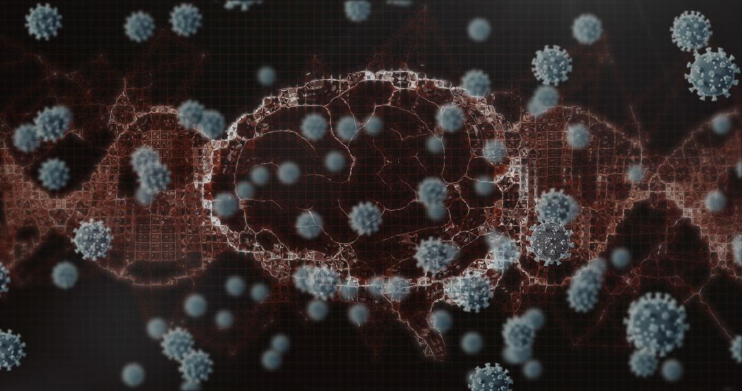 Digital Visualization of Brain Affected by Virus Cells