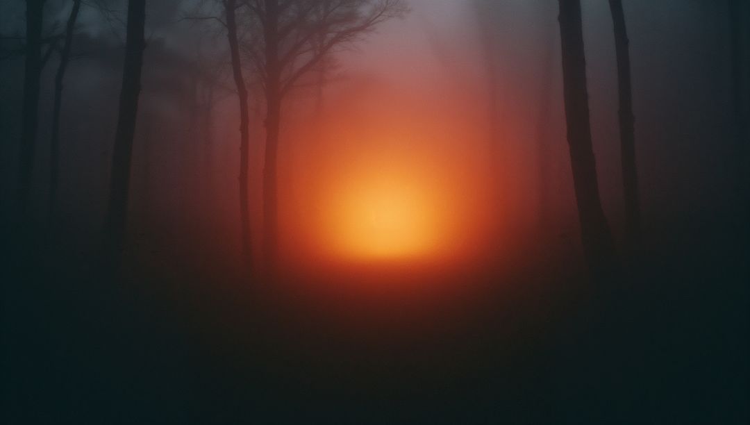 Mystical Orange Glow in Foggy Forest Wonder