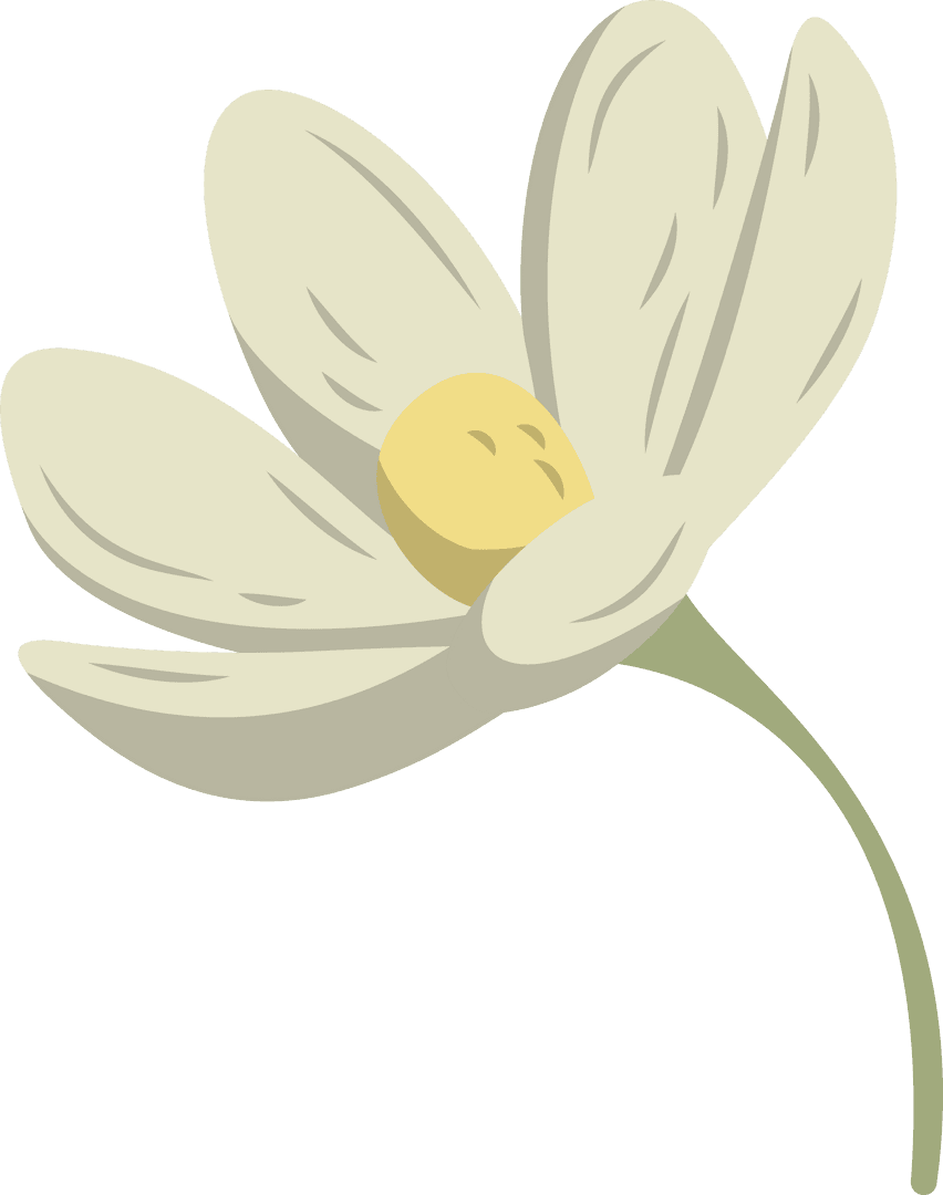 Minimalist White Flower Vector on Transparent Background