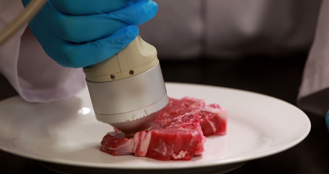 Technician Conducting Quality Control of Raw Meat with High-Tech Device - Free Images, Stock Photos and Pictures on Pikwizard.com