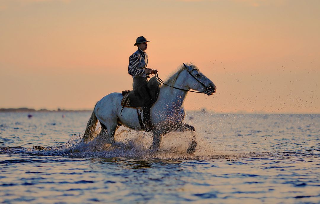 Man Riding Horse in Sea - Free Images, Stock Photos and Pictures on Pikwizard.com