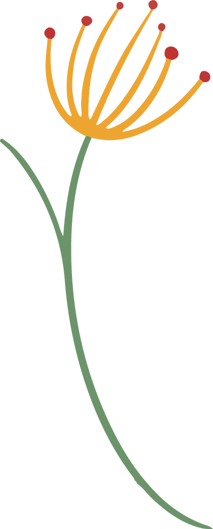 Floral Vector Art with Transparent Design and Minimalist Appeal