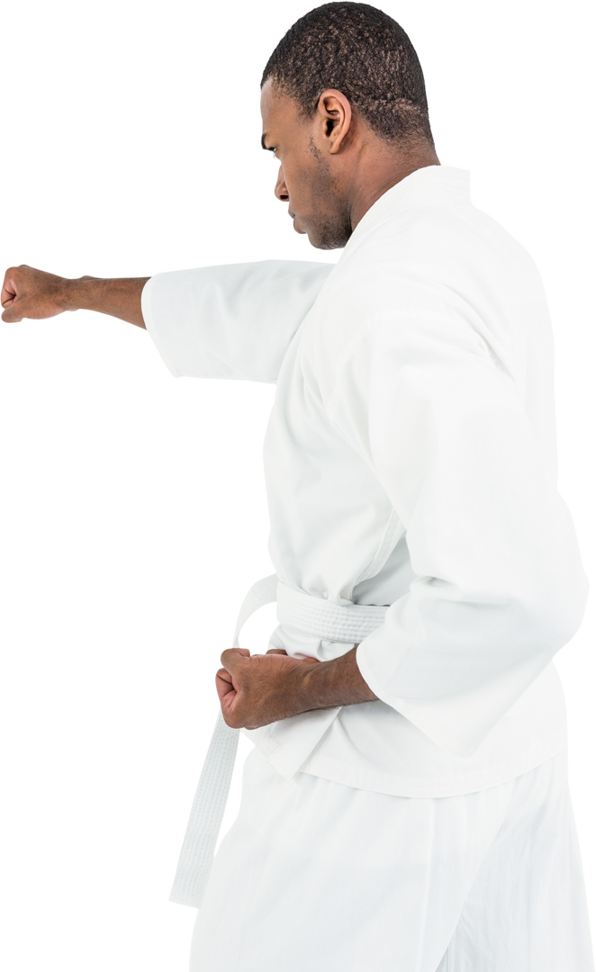 Transparent Karate Fighter Mastering Powerful Punch - Download Free Stock Images Pikwizard.com