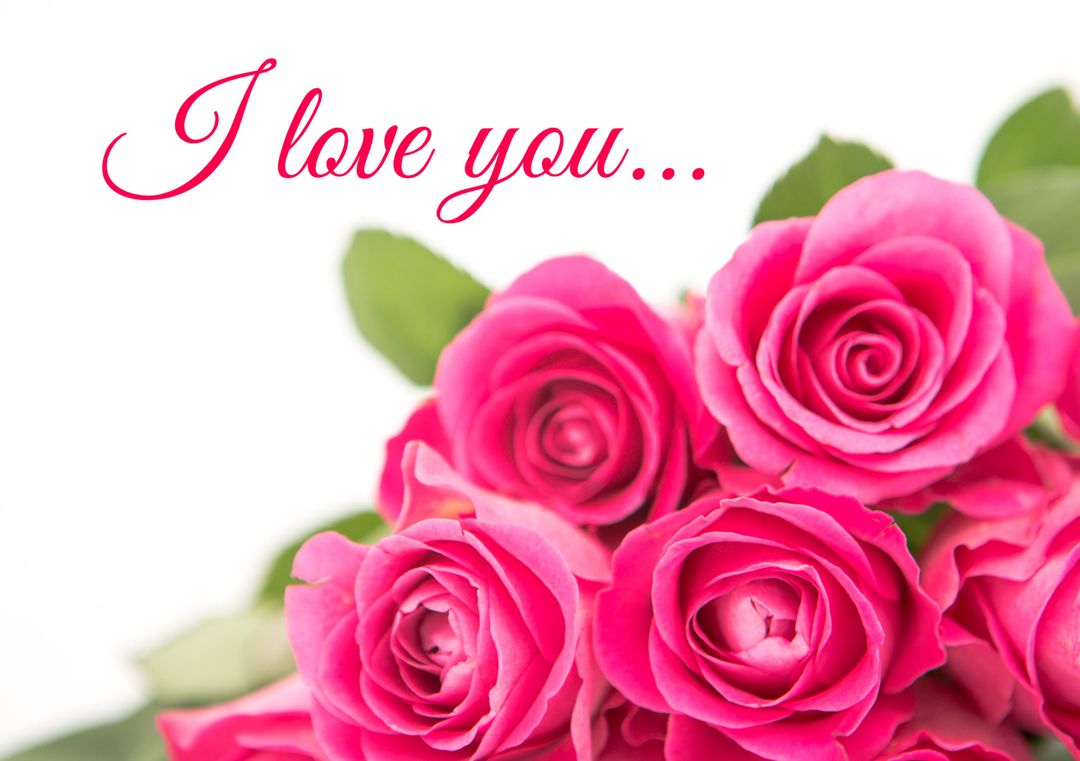 Pink Roses with I Love You Message for Romantic Occasions