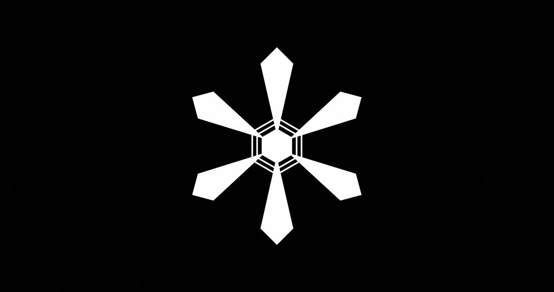 White Geometric Snowflake on Black Background Design