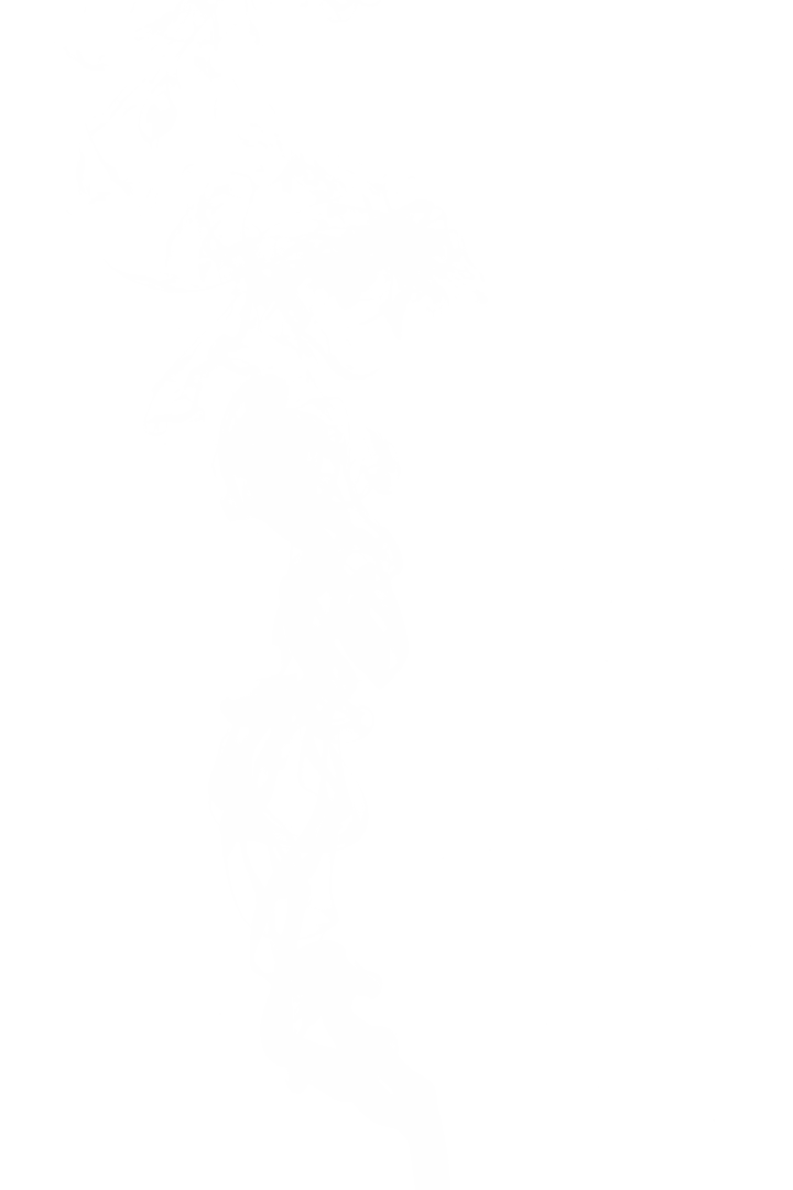 Abstract White Smoke Swirls on Transparent Background