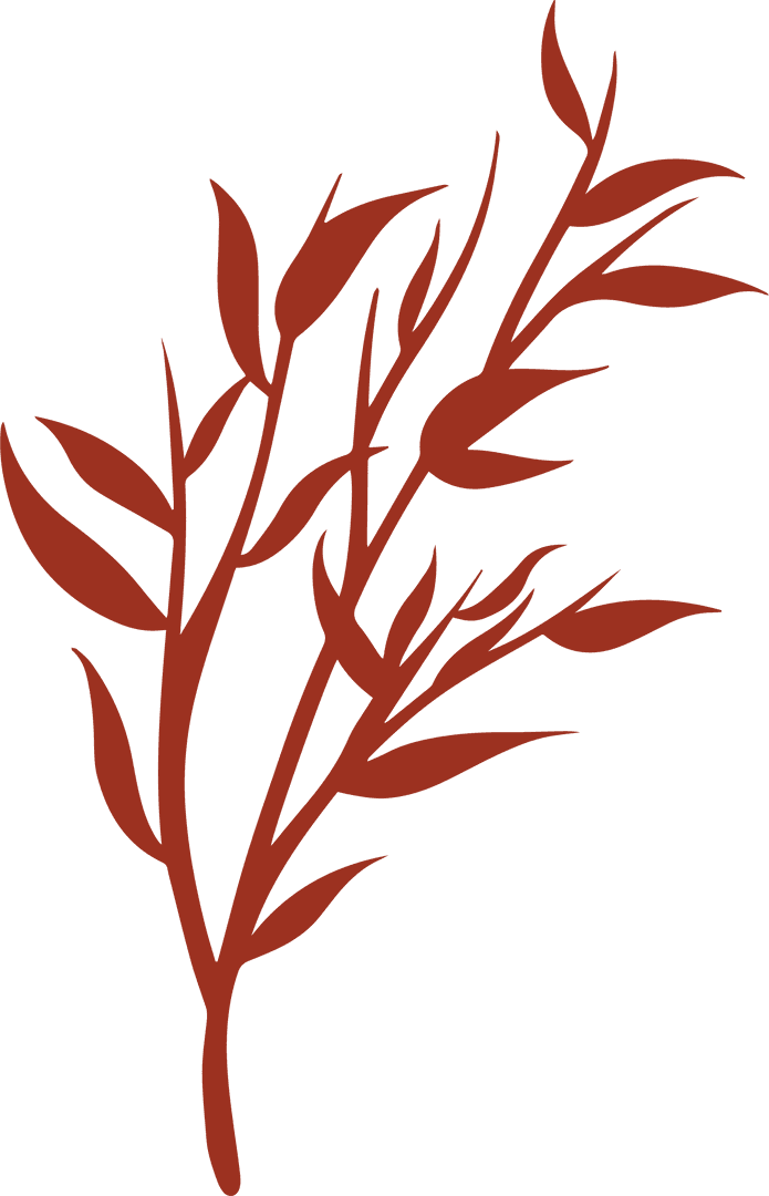 Red Plant Silhouette with Elongated Leaves on Transparent Background