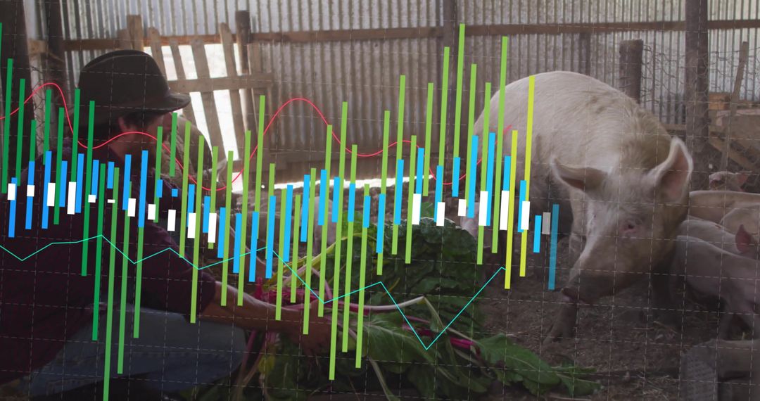 Rustic Farm Lifestyle with Pigs and Data Analysis Overlay