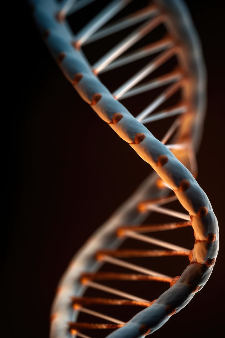 Close-Up of DNA Strand with Warm Lighting - Free Images, Stock Photos and Pictures on Pikwizard.com