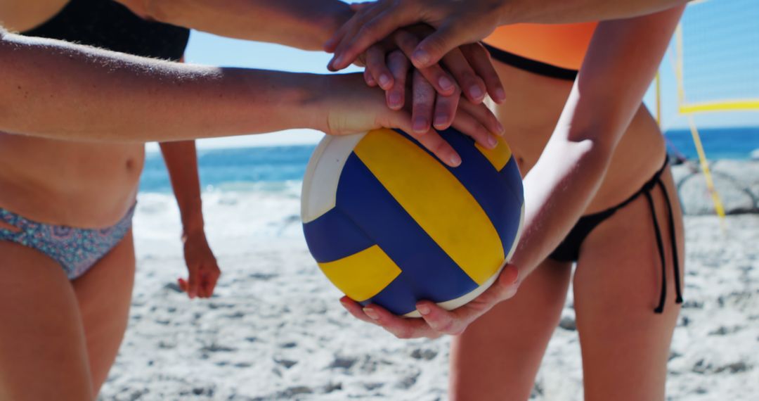 Team Spirit Shown by Multiracial Women Holding Volleyball on Sunny Beach - Free Images, Stock Photos and Pictures on Pikwizard.com