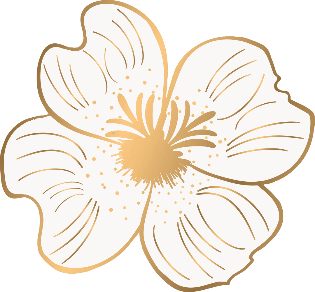 Luxurious White Flower Illustration on Transparent Background