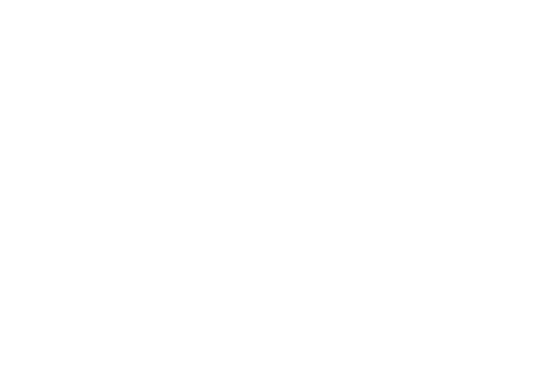 Silhouette Boxer with Gloves on Transparent Background