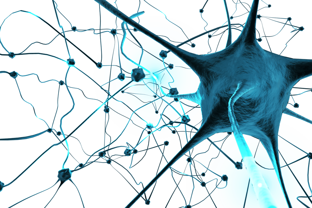 Transparent Viral Structure Illustration with Technological Glow