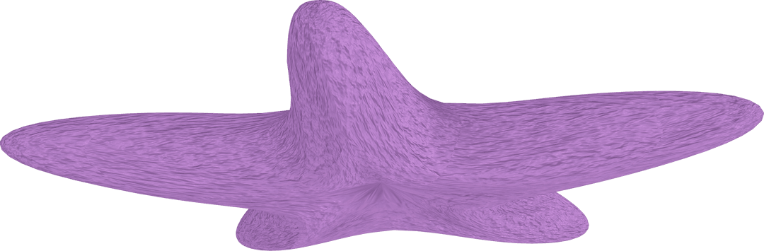 Abstract Purple Starfish on Transparent Background